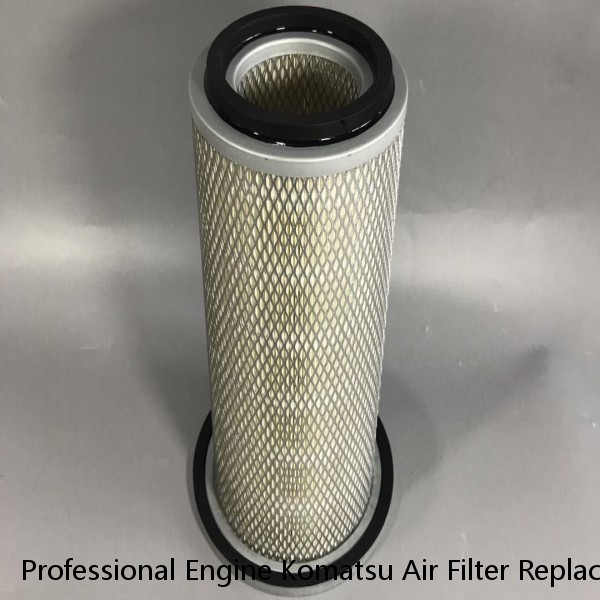 Professional Engine Komatsu Air Filter Replacements 207 Mm Outer Diameter White Color